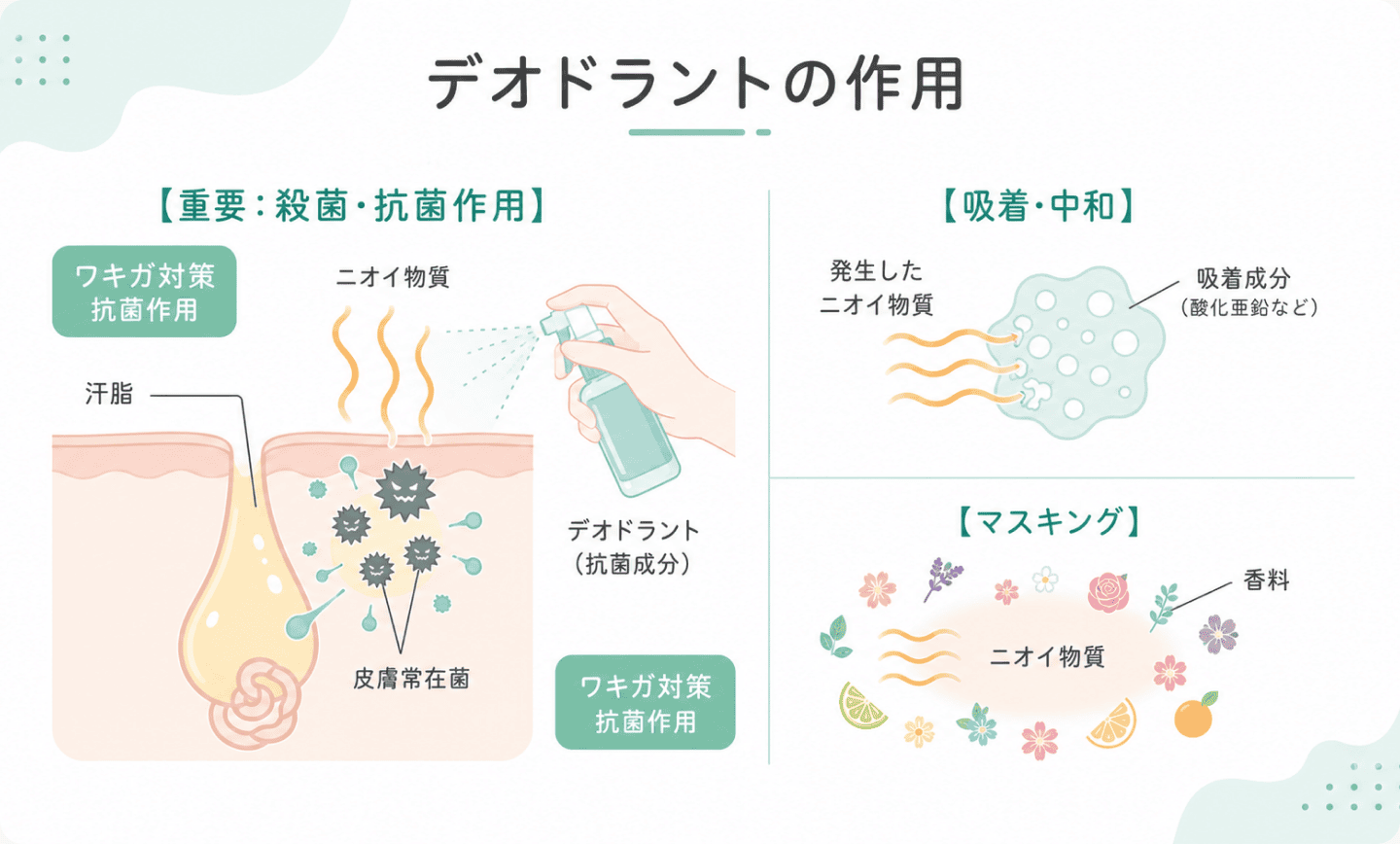 図2. デオドラントが抗菌・吸着・マスキングの3つの作用でニオイを抑える仕組みを示した図